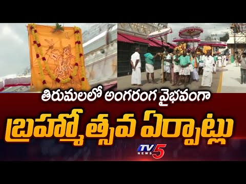 తిరుమలలో బ్రహ్మోత్సవ శోభ | All Set For Tirumala Brahmotsavam 2025 | TV5 News - TV5NEWS