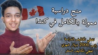 منح McCall MacBain الممولة بالكامل للدراسة في كندا 2023 - 2024 || Study in Canada