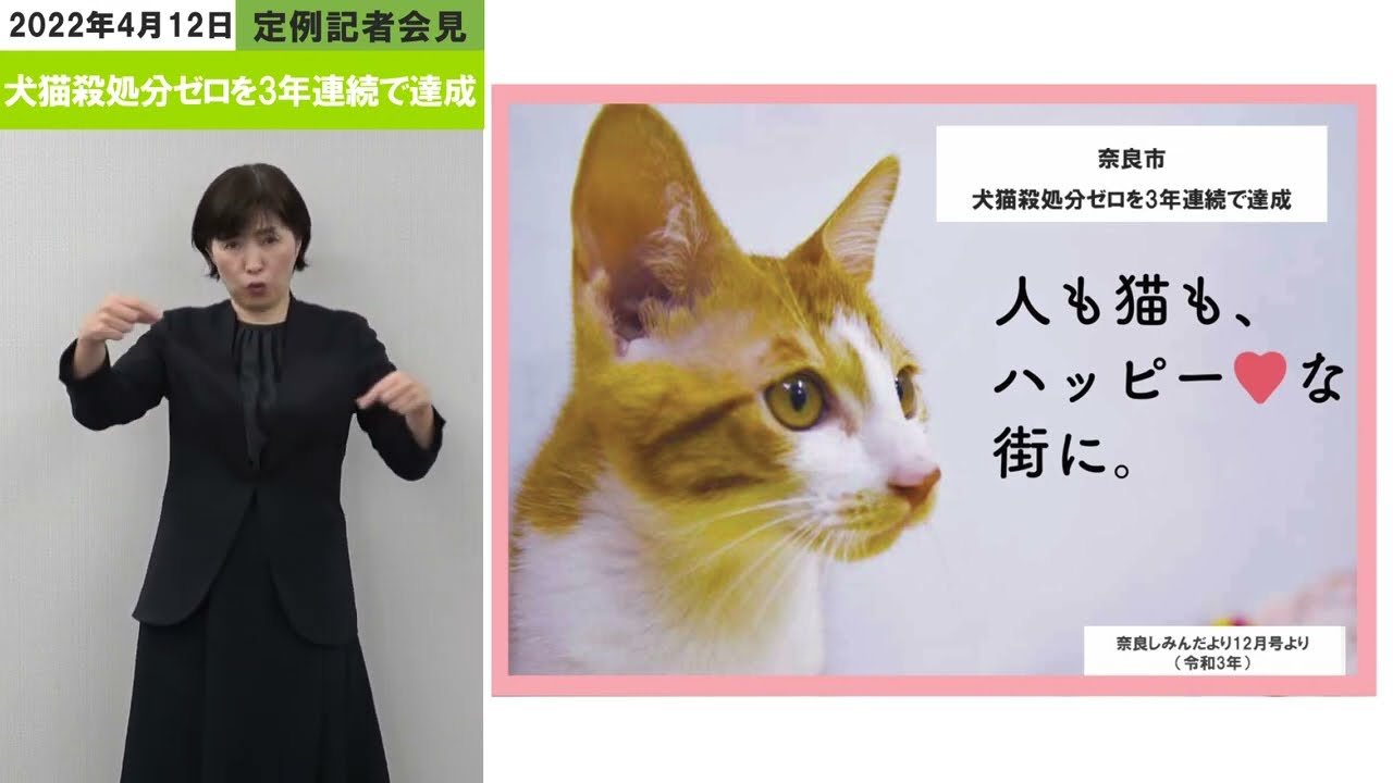 市長会見 犬猫殺処分ゼロを3年連続で達成しました 令和4年4月12日発表 奈良市ホームページ 市長会見 犬猫殺処分ゼロを3年連続で達成しました 令和4年4月12日発表 奈良市ホームページ