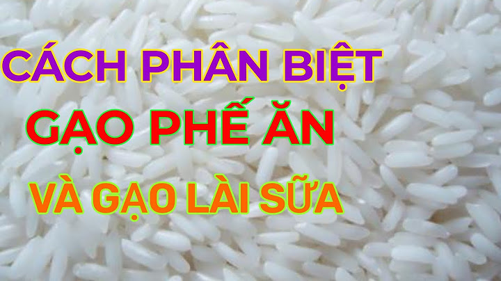 Đánh giá cảm quan chất lượng gạo năm 2024