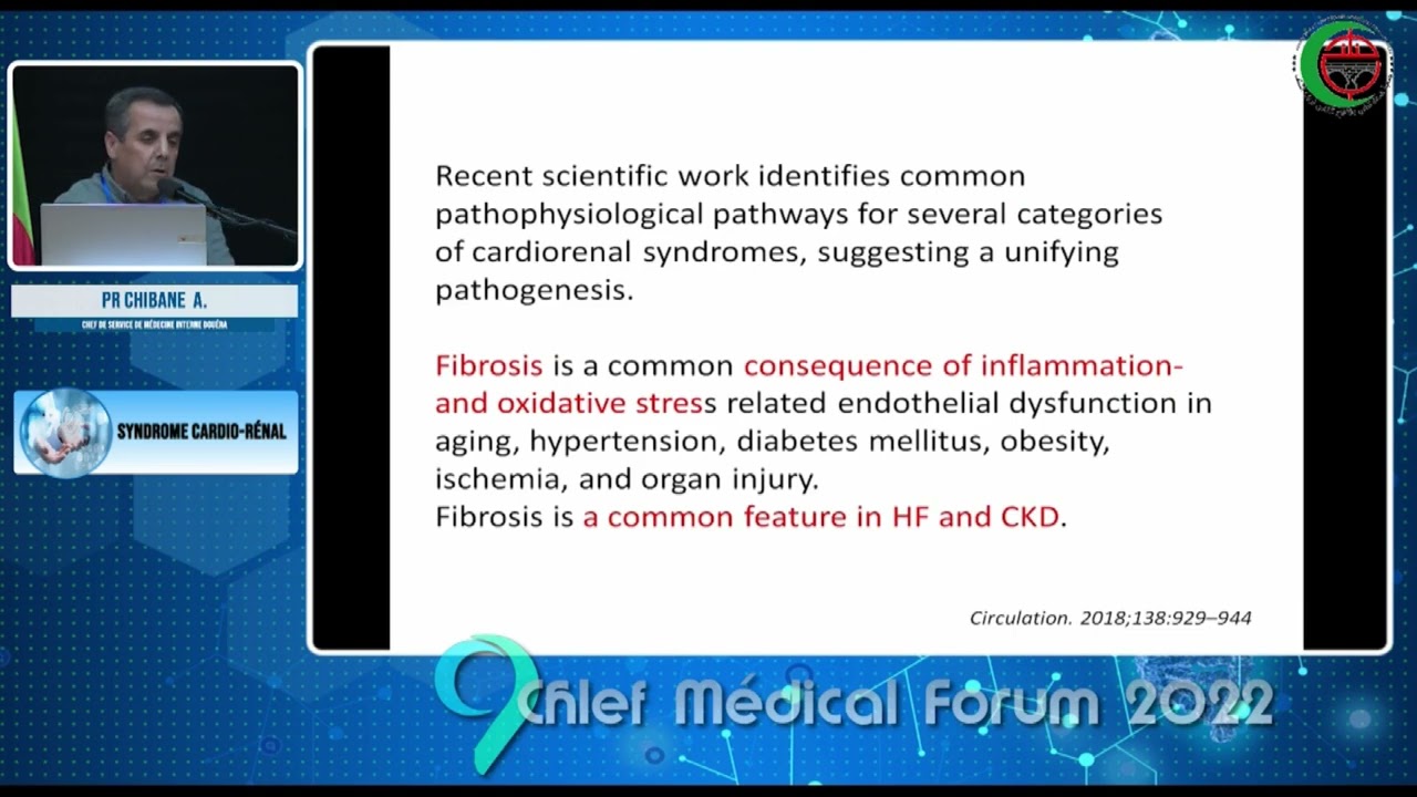 Pr CHIBANE :Syndrome cardio-rénal chez le diabétique type 2