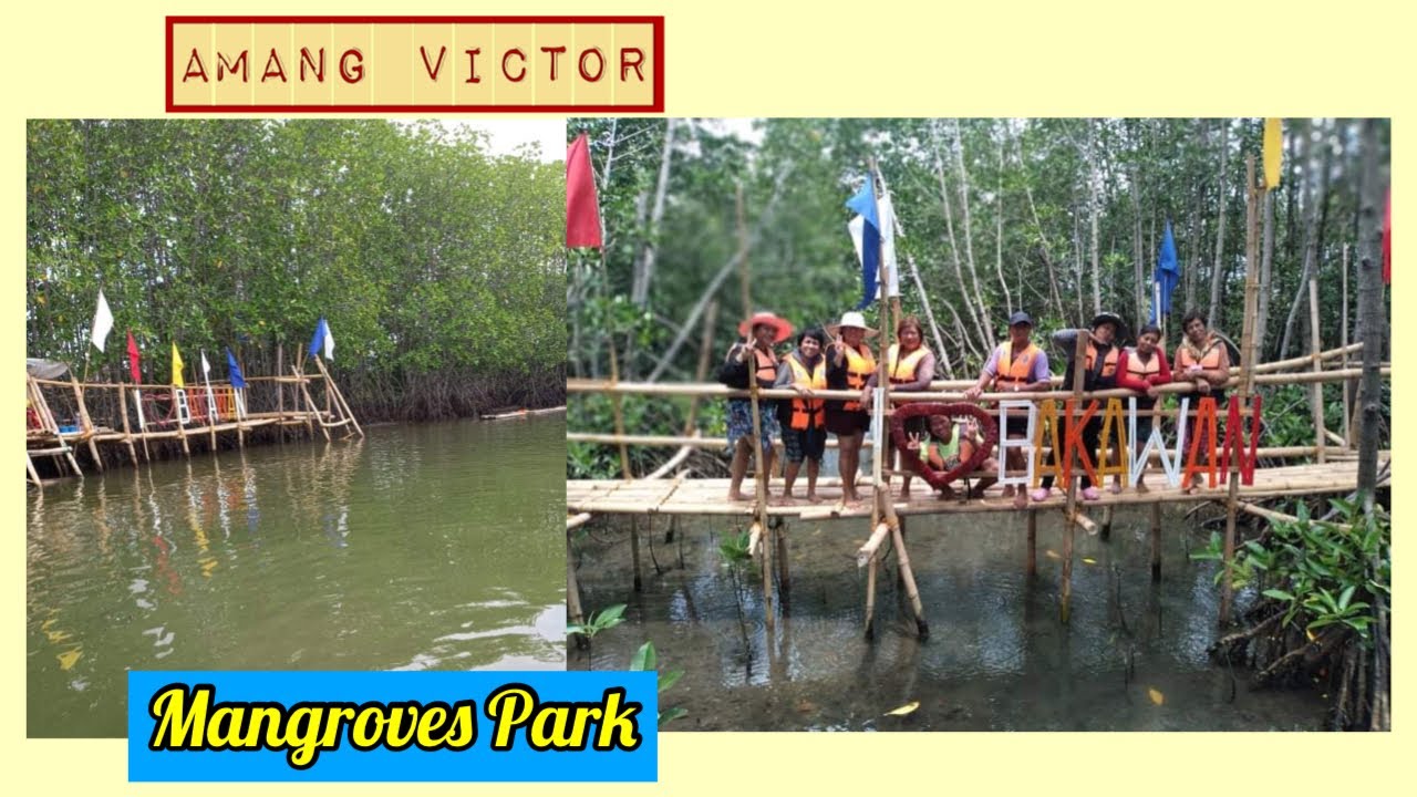 Bakawan (Mangroves) Park at San Fabian Beach, Pangasinan YouTube