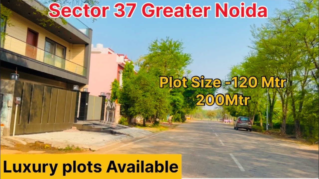 Sector 37 Greater Noida Near Pari chowk 120 Mtr 200 Mtr plot Size  ग्रेटर नोएडा अथॉरिटी  प्लॉट्स