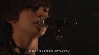 DISH// - 猫 [ Live Video 2019]