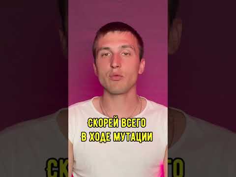 Дождевой червь #Факты