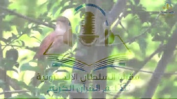 من تلاوات الفاتحة 2