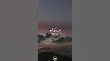 سورة الزمر _ القارئ / محمد اللحيدان
