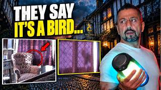 The Mermaid Inn Shadow: Was It Really a Bird?