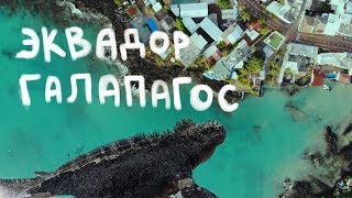 МОРСКОЙ КОТИК УКУСИЛ ДЕВУШКУ / Галапагосские острова / ПУТЕШЕСТВИЕ