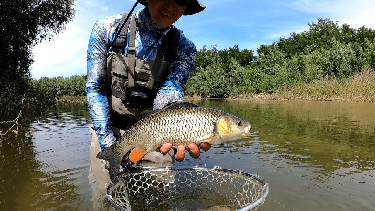 Am Prins Mult Clean pe Siret la Rotative si Oscilante!