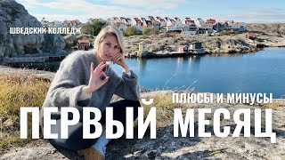 видео: Первый месяц в шведском колледже - плюсы и минусы картинка: Первый месяц в шведском колледже - плюсы и минусы