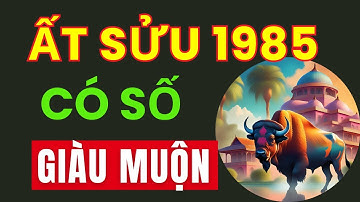 Tuổi Ất Sửu 1985. Có số Giàu muộn nhưng Bền vững. Phúc lộc lớn đến sau năm 43 tuổi