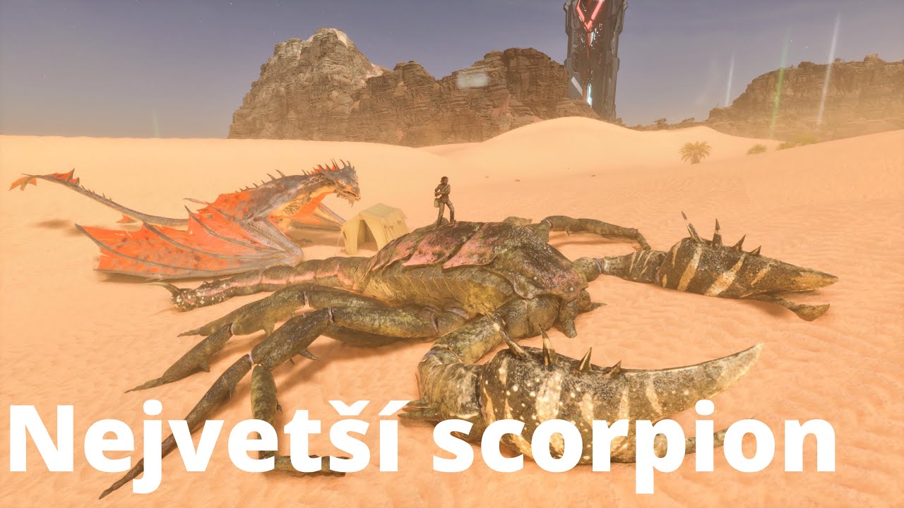 Ochočil jsem největšího scorpiona (Colossuscorpius taming)Ark Survival Ascended Scorched Earth CZ/SK