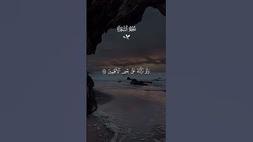 وَإِنَّهُ لَتَنزِيلُ رَبِّ الْعَالَمِينَ 🤍 | للقارئ ياسر الدوسري