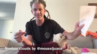 Information Florida Cannabis Review Trulieve Pink Cookies Update