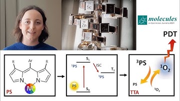 Metal Coordination Effects on the Photophysics of Dipyrrinato Photosensitizers. Paula C. P. Teeuwen