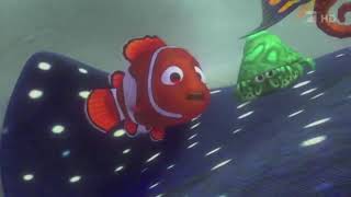Anemone spotted