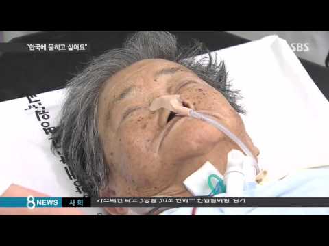 '엽락귀근'…위안부 피해 할머니, 고국 품으로 / SBS