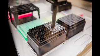 How Covid 19 genome sequencing maps the spread of the virus