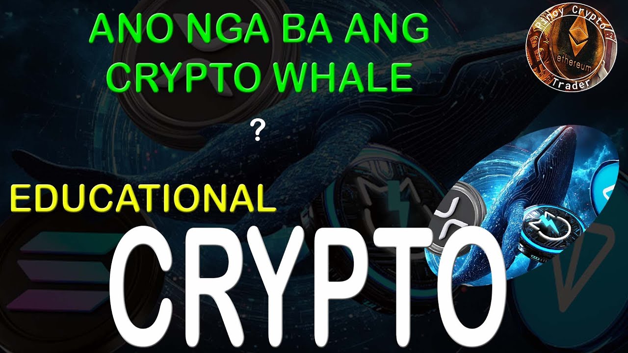 Ano ang Ibig Sabihin ng Crypto Whale Para sa mga Baguhan? - YouTube