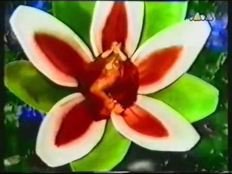 Lucilectric-Hey Süsser