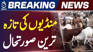 Mandi 2026 | Supply Demand Gap | Cattle Traders Crisis | Eid Market Update - Aaj News