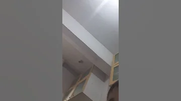مبزهقسخنءلم فلونه 1 