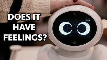 Why Do People Feel Empathy for Inanimate Objects?