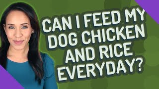 Can I feed my dog chicken and rice everyday?