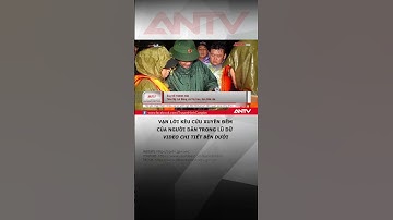 Ám ảnh vạn lời kêu cứu xuyên đêm của người dân trong lũ dữ #antv #shorts #thoisu #baolu