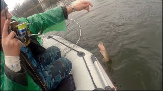 Двухдневная рыбалка на Северском Донце