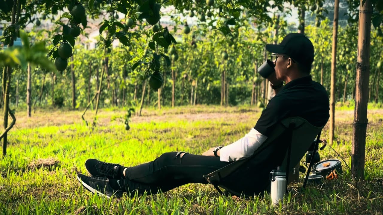 Hướng Phùng Quảng Trị vườn chanh dây trĩu trái quanh năm,thưởng thức cà phê Arabica đặc sản Khe Sanh