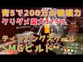 【ディビジョン2】青5で200万以上のダメージを叩き出す！破壊力抜群のティッピングSMGビルドの紹介