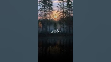 #سورة_الفرقان #المصحف #محمد_اللحيدان #قرآن #اكسبلور #راحة_نفسية #قران_كريم
