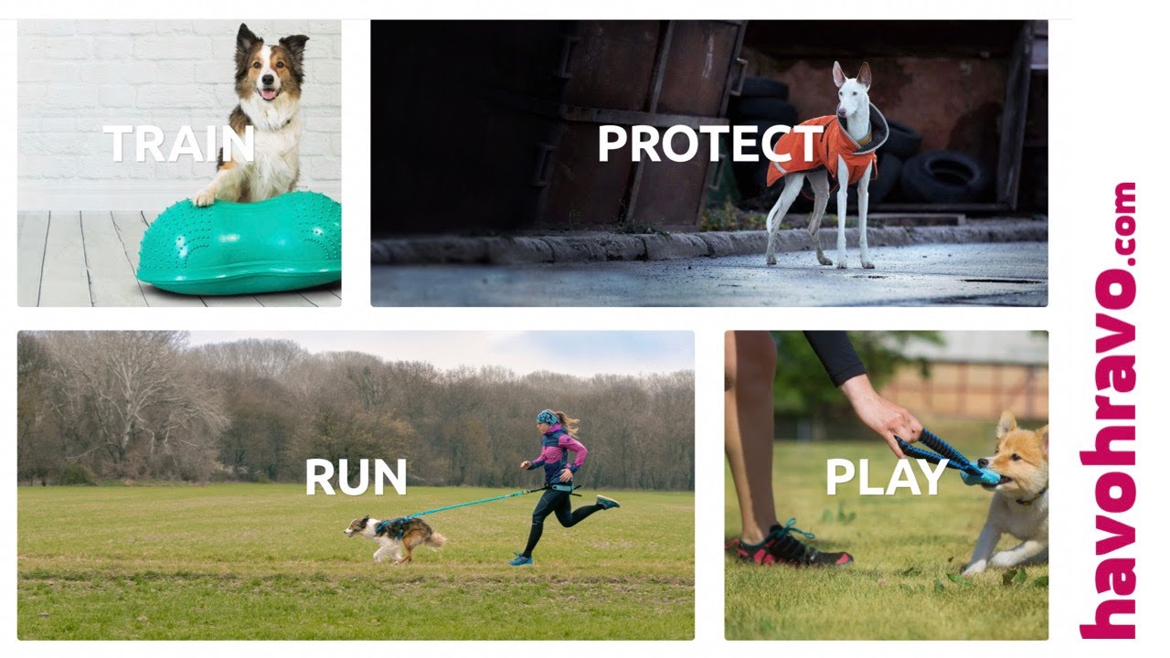 havohravo® - Obchod pre psích športovcov
