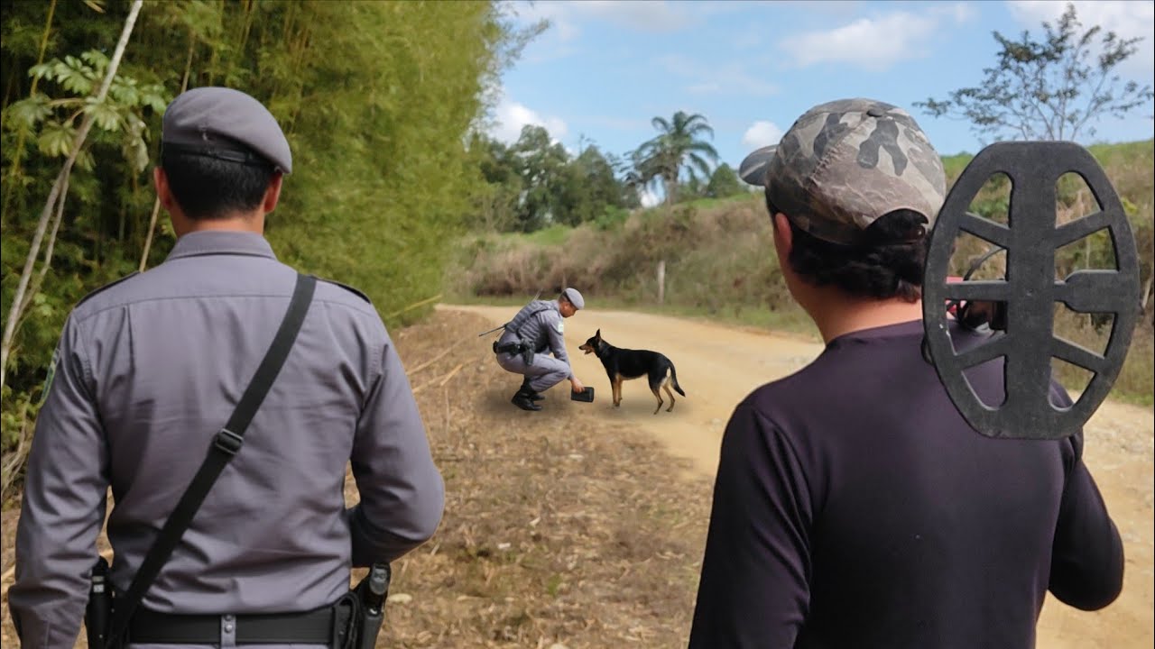 Fui ajudar a procurar a Camila e achei algo surpreendente! 😱