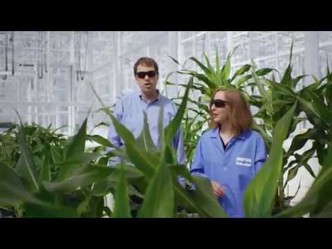 Advanced Crop Lab at the Syngenta RTP Innovation Center