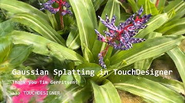 Finally, Gaussian Splatting in TouchDesigner!
