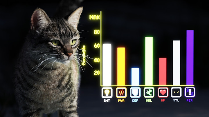 How Cats Broke The Game