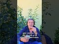 Ce se afla în ceașca mea? O întrebare pe care trebuie să ne-o punem toți! ❤️❤️❤️