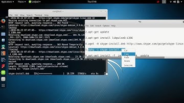 How to kali  linux skype install error