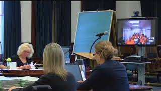 Craigie and Darling plead not guilty to downtown stabbing