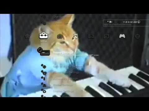 meme:-keyboard-cat-dynamic-theme