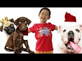 Cartoon Nursery Rhymes for Kids about Dogs - Pets song for Kids #nurseryrhymes #kidssongs #dogs