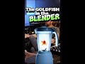 Goldfish in a Blender.mp4