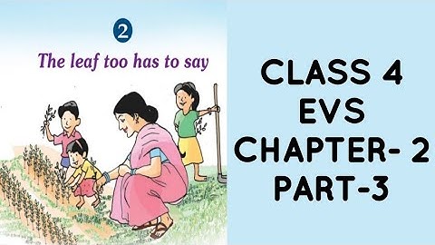 CLASS 4 EVS CHAPTER- 2 "The Leaf too has to say"PART 3