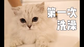 猫宝宝第一次洗澡，猫妈妈全程在门外守着 by 舅舅的尾巴 167 views 3 years ago 7 minutes, 10 seconds