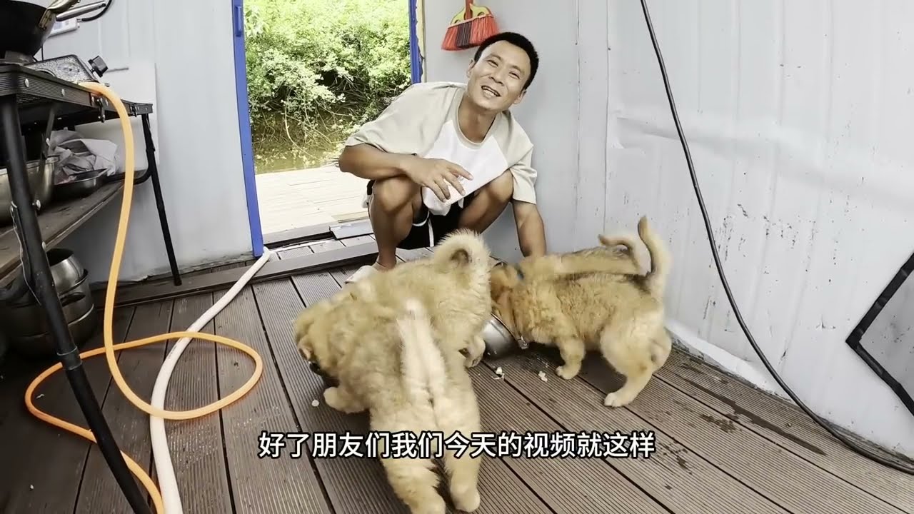 深夜突如其来的大暴雨倾泻而下，船屋里听着雨声一觉睡到自然醒