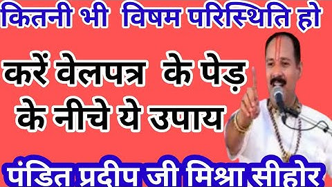 कितनी भी #विषम परिस्थिति  हो करें  वेल पत्र के नीचे  उपाय। पंडित #प्रदीप जी मिश्रा #सीहोर वाले