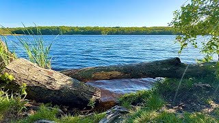 ASMR Soft Spoken Hike With Me🍃🍃